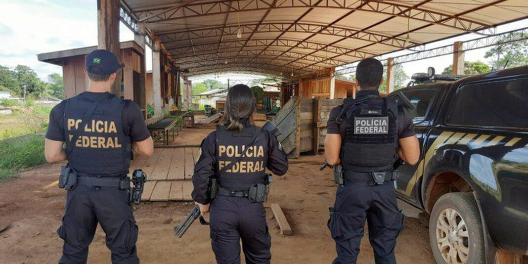 pf_operacao_ti_karipuna.jpeg