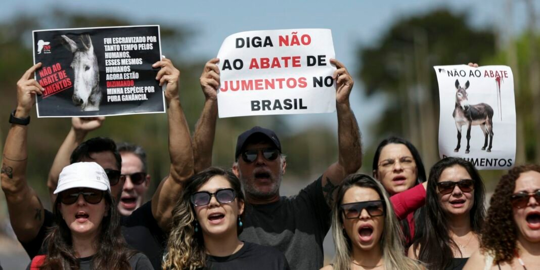 manifestacao-abate-jumentos_mcamgo_abr_30072023-3.jpg