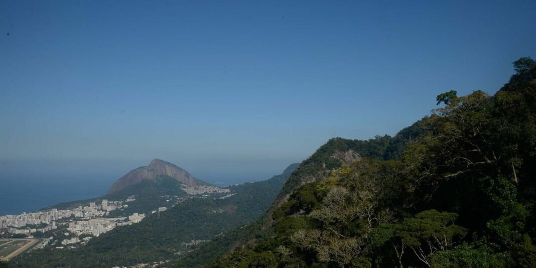 parque_nacional_da_tijuca.jpg
