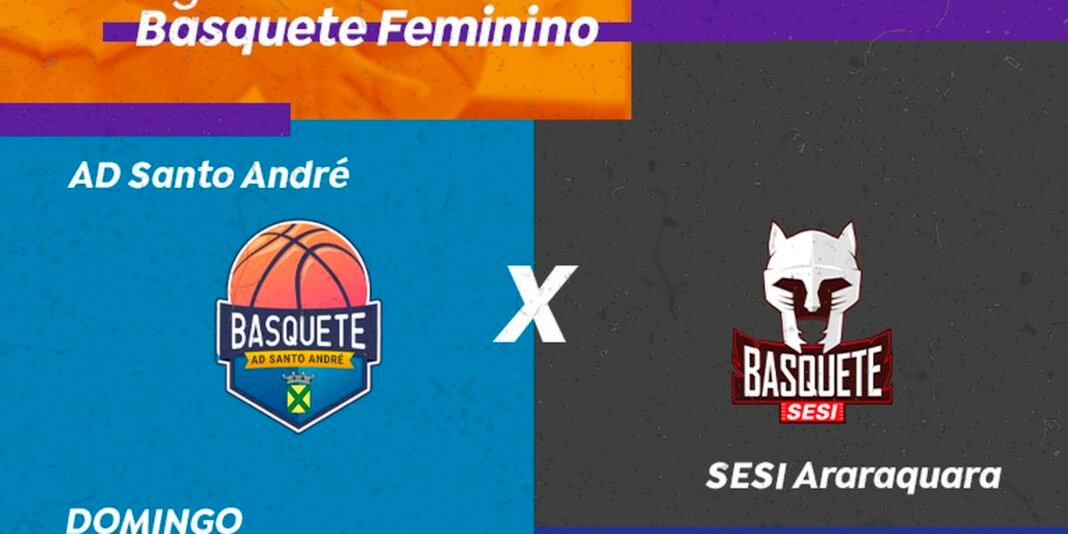 basquete_feminino_na_tv_brasil.jpg